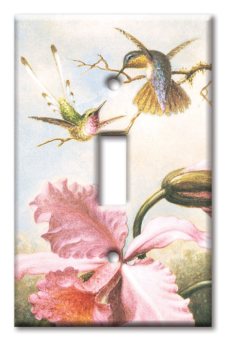 Decorative Printed Switch Plate - Electrical Switch Cover Wall Plate by Art Plates - Heade: Orchids and Hummingbirds