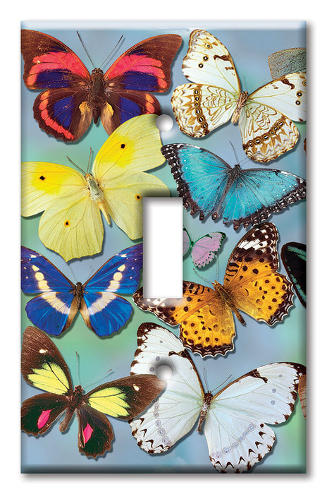 Decorative Printed OVERSIZED Switch Plate - Electrical Switch Cover JUMBO Wall Plate by Art Plates - Butterflies on Blue