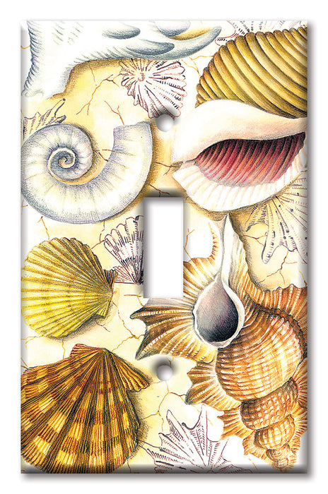 Decorative Printed OVERSIZED Switch Plate - Electrical Switch Cover JUMBO Wall Plate by Art Plates - Shell Collection