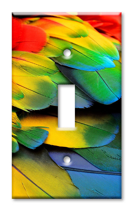 Decorative Printed OVERSIZED Switch Plate - Electrical Switch Cover JUMBO Wall Plate by Art Plates - McCaw Feathers