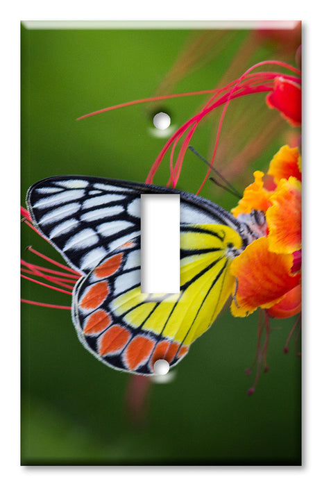 Decorative Printed Switch Plate - Electrical Switch Cover Wall Plate by Art Plates - Yellow and White Butterfly