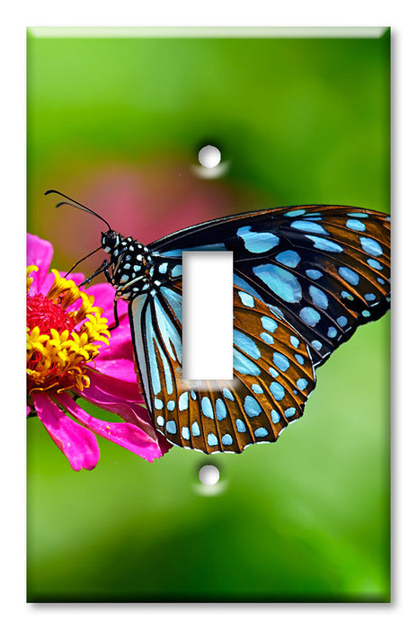 Decorative Printed Switch Plate - Electrical Switch Cover Wall Plate by Art Plates - Blue and Black Butterfly