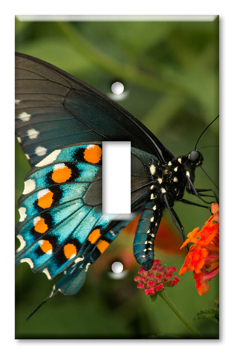 Decorative Printed Switch Plate - Electrical Switch Cover Wall Plate by Art Plates - Blue, Black and Orange Butterfly