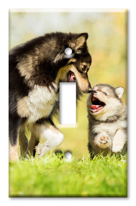 Decorative Printed Switch Plate - Electrical Switch Cover Wall Plate by Art Plates - Momma and Puppy Fun