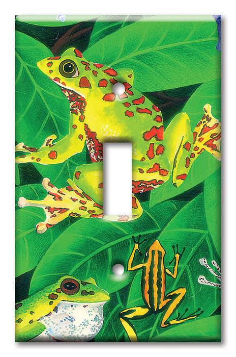 Decorative Printed OVERSIZED Switch Plate - Electrical Switch Cover JUMBO Wall Plate by Art Plates - Frogs