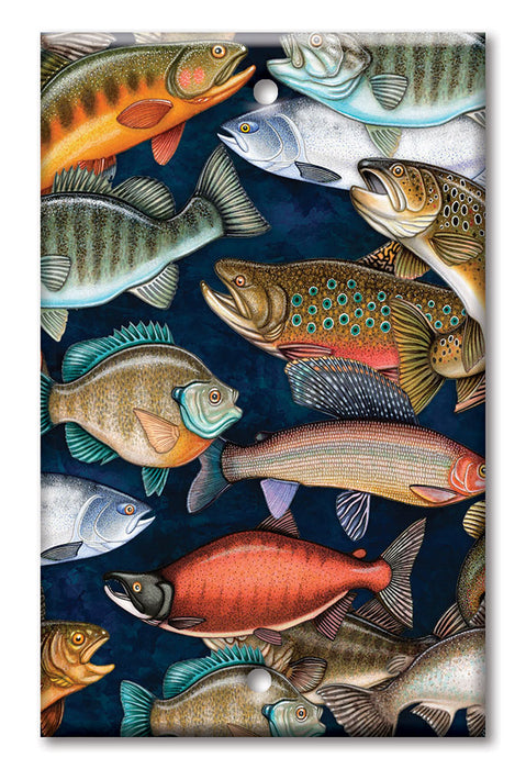 Decorative Printed Switch Plate - Electrical Switch Cover Wall Plate by Art Plates - Fresh Water Fish - Image by Dan Morris