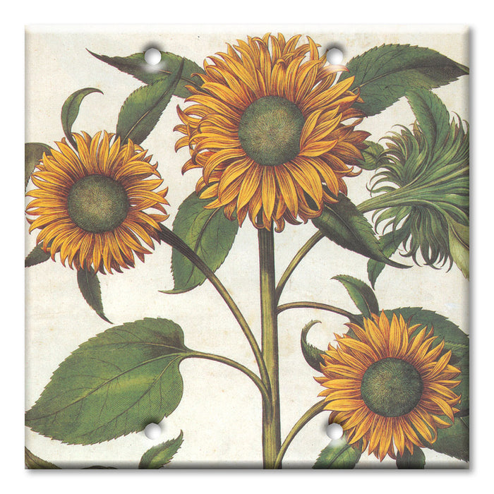 Decorative Printed Switch Plate - Electrical Switch Cover Wall Plate by Art Plates - Sunflowers