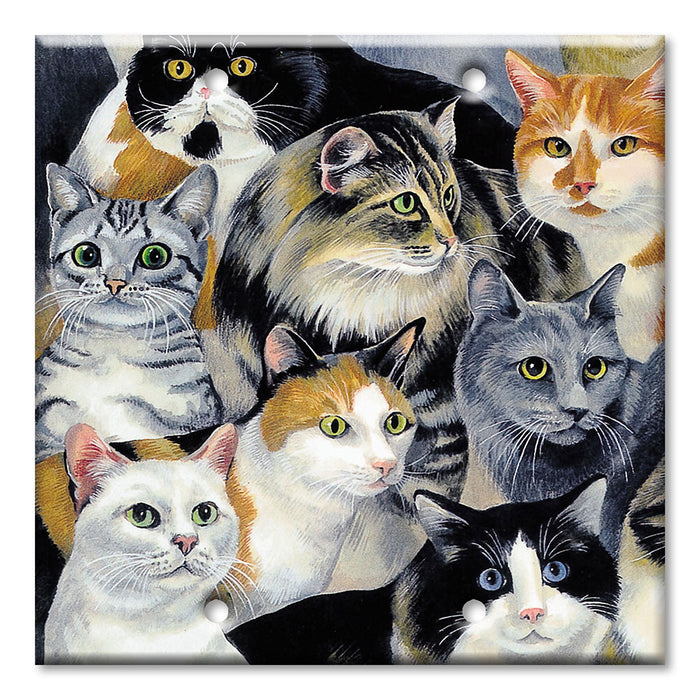 Decorative Printed Switch Plate - Electrical Switch Cover Wall Plate by Art Plates - Just Cats