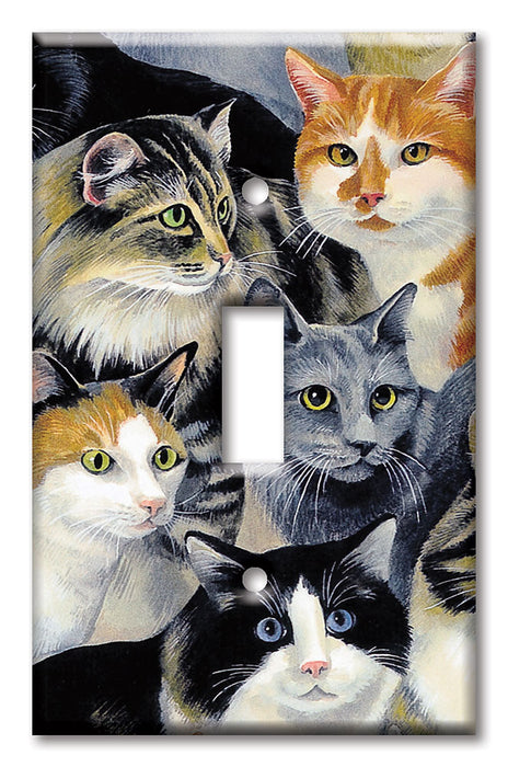 Decorative Printed Switch Plate - Electrical Switch Cover Wall Plate by Art Plates - Just Cats