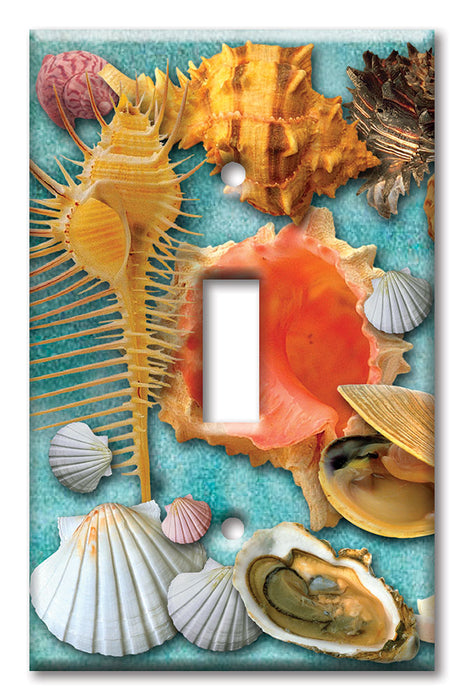 Decorative Printed Switch Plate - Electrical Switch Cover Wall Plate by Art Plates - Seashells