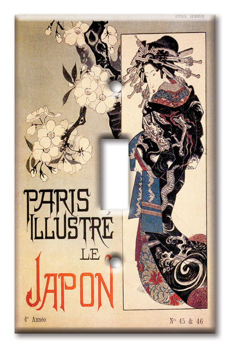 Decorative Printed OVERSIZED Switch Plate - Electrical Switch Cover JUMBO Wall Plate by Art Plates - Paris Illustre