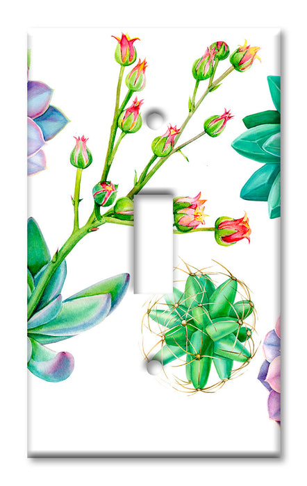 Decorative Printed Switch Plate - Electrical Switch Cover Wall Plate by Art Plates - Succulents