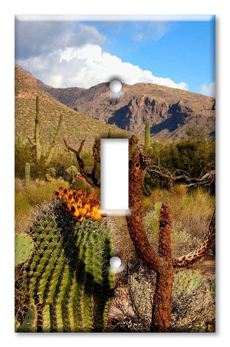 Decorative Printed OVERSIZED Switch Plate - Electrical Switch Cover JUMBO Wall Plate by Art Plates - Desert Cactus