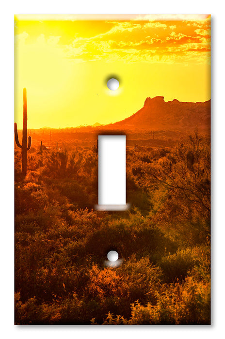 Decorative Printed OVERSIZED Switch Plate - Electrical Switch Cover JUMBO Wall Plate by Art Plates - Desert at Dawn