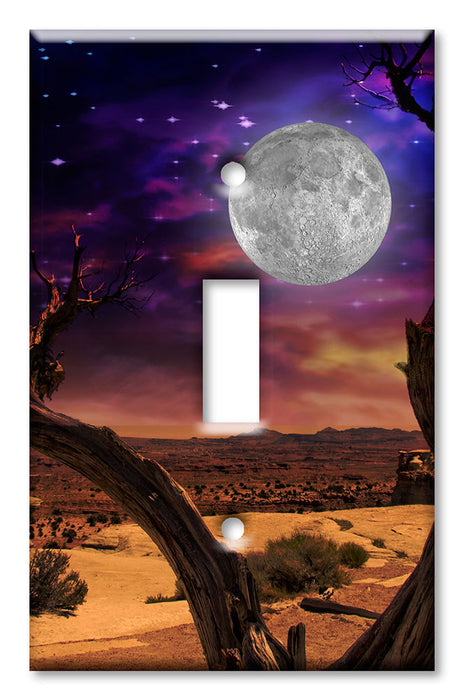 Decorative Printed OVERSIZED Switch Plate - Electrical Switch Cover JUMBO Wall Plate by Art Plates - Space from the Desert