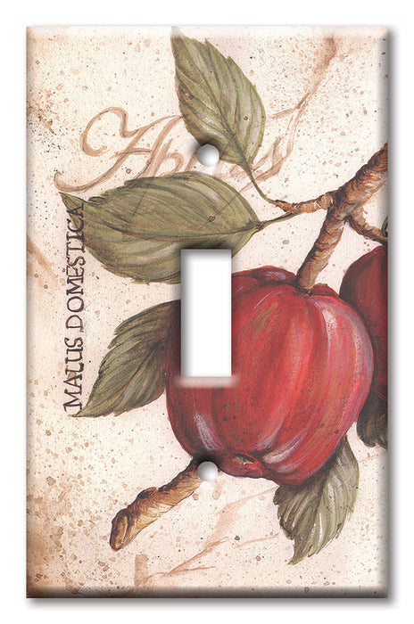 Decorative Printed OVERSIZED Switch Plate - Electrical Switch Cover JUMBO Wall Plate by Art Plates - Apples