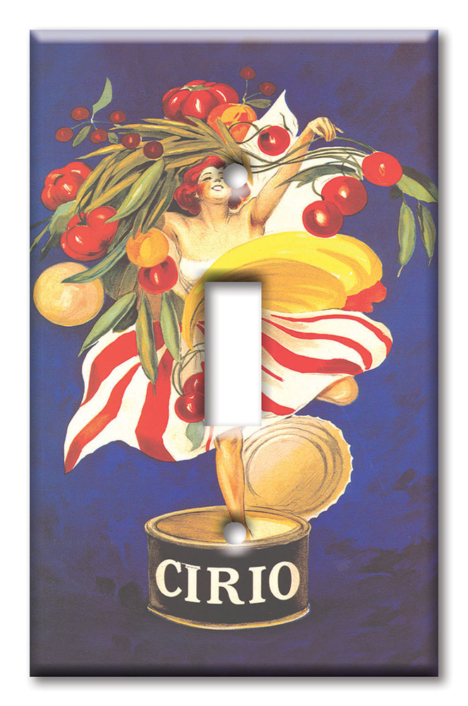 Decorative Printed Switch Plate - Electrical Switch Cover Wall Plate by Art Plates - Bon Appetit main image 1
