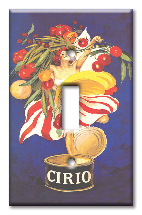 Decorative Printed OVERSIZED Switch Plate - Electrical Switch Cover JUMBO Wall Plate by Art Plates - Cirio