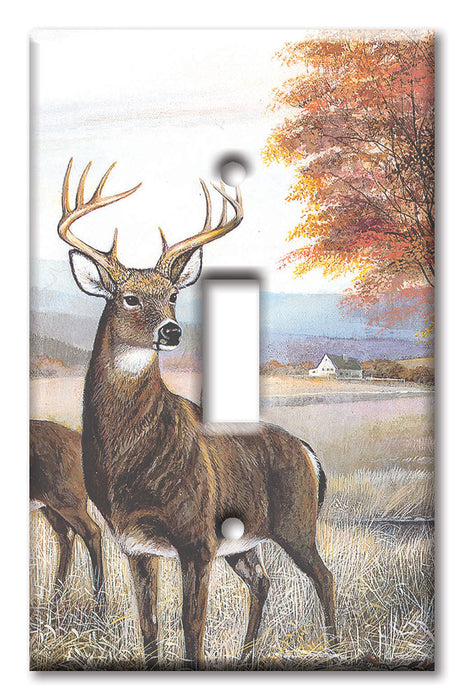 Decorative Printed OVERSIZED Switch Plate - Electrical Switch Cover JUMBO Wall Plate by Art Plates - White Tail Deer