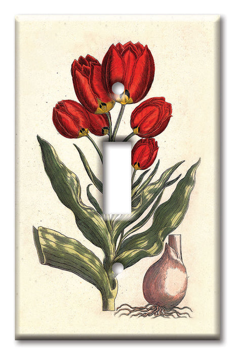 Decorative Printed Switch Plate - Electrical Switch Cover Wall Plate by Art Plates - Tulips