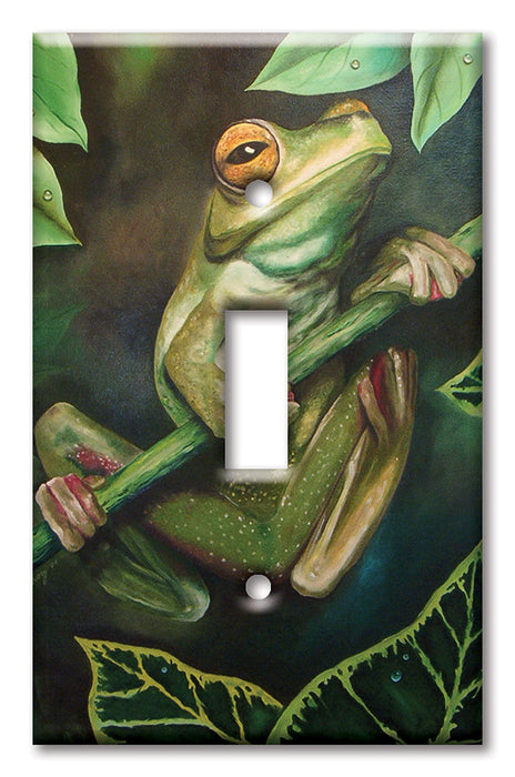 Decorative Printed OVERSIZED Switch Plate - Electrical Switch Cover JUMBO Wall Plate by Art Plates - Yellow Eyed Tree Frog