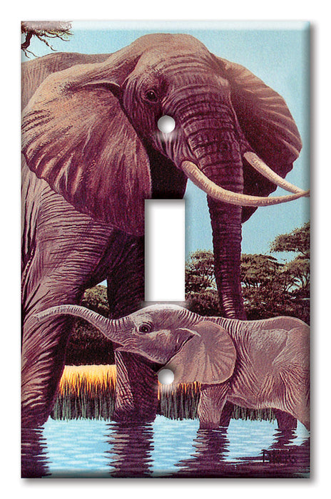 Decorative Printed Switch Plate - Electrical Switch Cover Wall Plate by Art Plates - Elephants