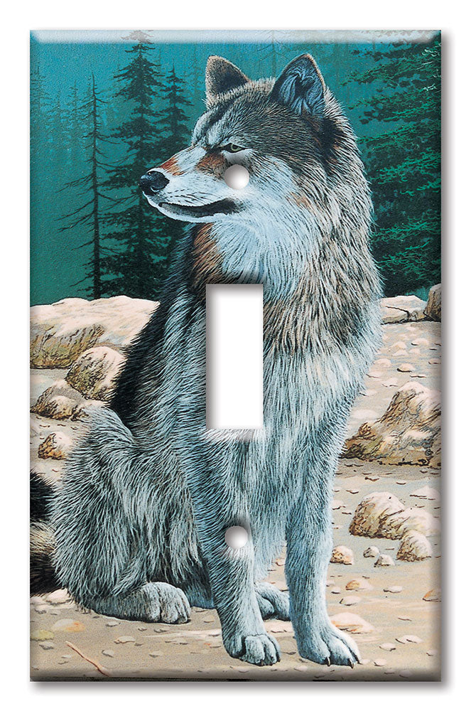 Decorative Printed Switch Plate - Electrical Switch Cover Wall Plate by Art Plates - Great Adventure
