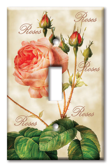 Decorative Printed OVERSIZED Switch Plate - Electrical Switch Cover JUMBO Wall Plate by Art Plates - Redoute Roses