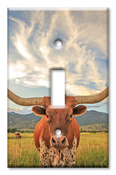 Decorative Printed Switch Plate - Electrical Switch Cover Wall Plate by Art Plates - Longhorn