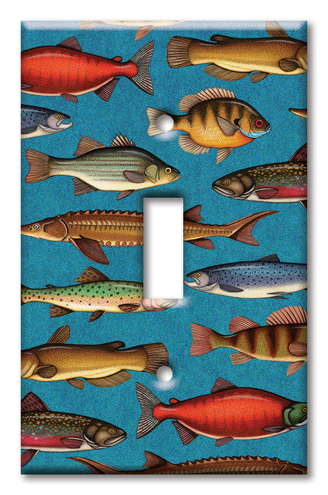 Decorative Printed Switch Plate - Electrical Switch Cover Wall Plate by Art Plates - Freshwater Fish - Image by Dan Morris