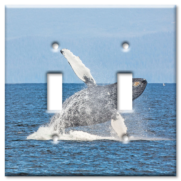 Decorative Printed OVERSIZED Switch Plate - Electrical Switch Cover JUMBO Wall Plate by Art Plates - Humpback Whale