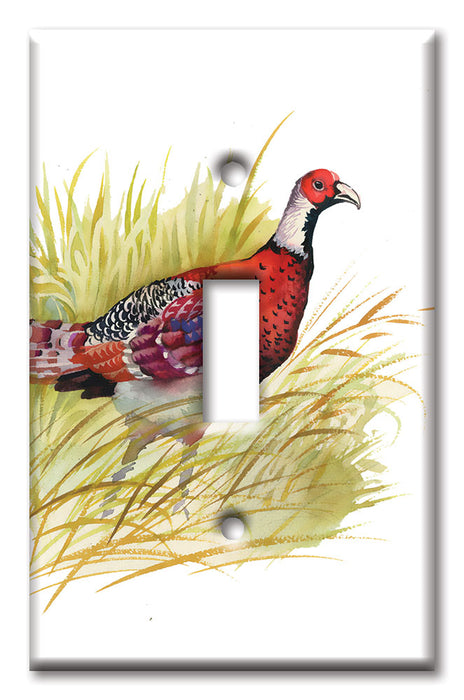 Decorative Printed OVERSIZED Switch Plate - Electrical Switch Cover JUMBO Wall Plate by Art Plates - Pheasant