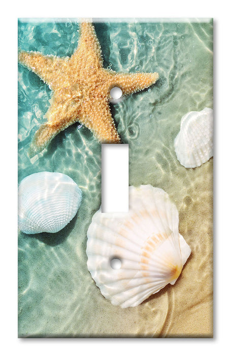 Decorative Printed OVERSIZED Switch Plate - Electrical Switch Cover JUMBO Wall Plate by Art Plates - Sea Shells and Star Fish in Ocean Beach Tide Pool